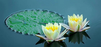 微信图片_20221013133847