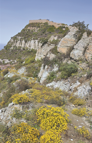 微信截图_20221013144612