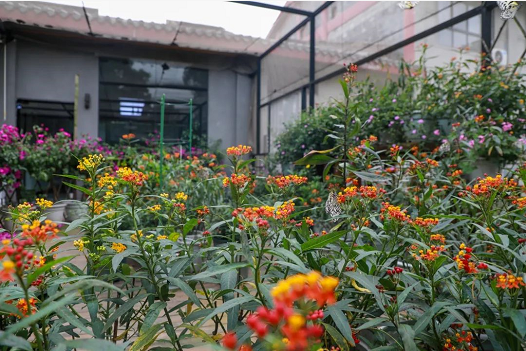 微信截图_20221014164711