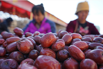 微信截图_20221018101443