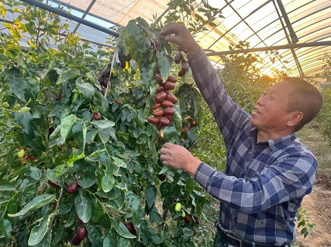 微信截图_20221018101456