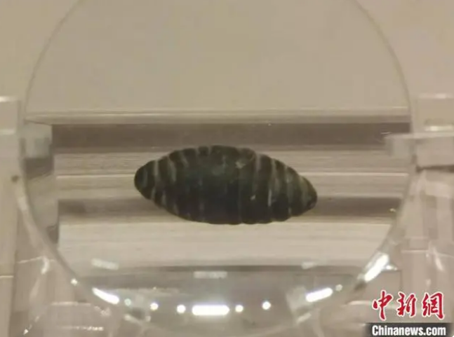 微信截图_20221101165819