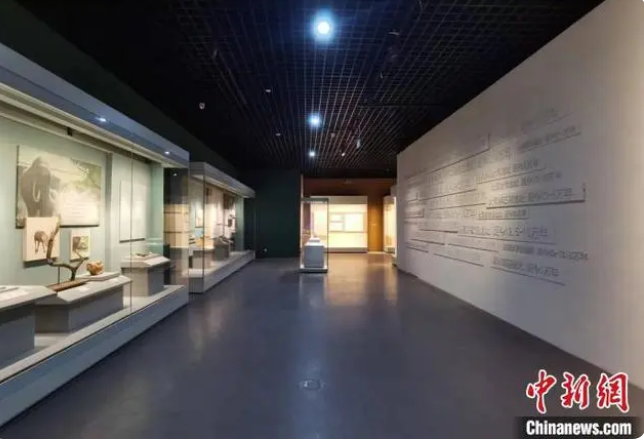 微信截图_20221101165851