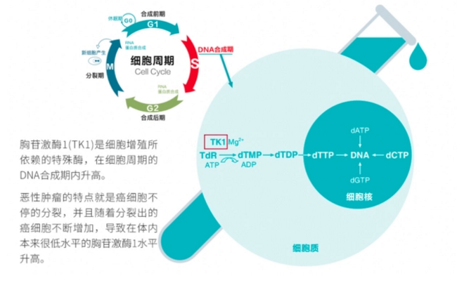微信截图_20221102144828