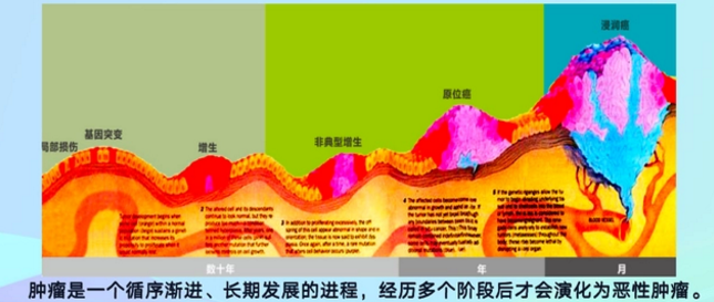 微信截图_20221102144837