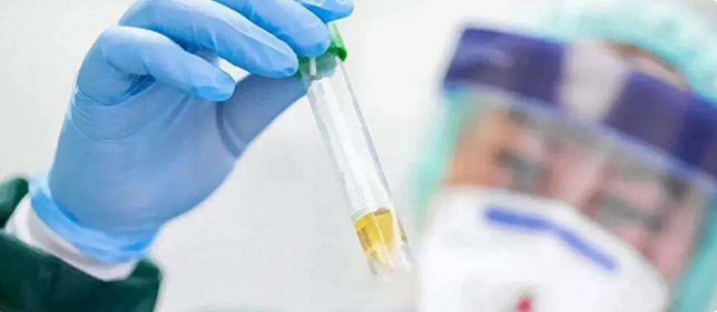 微信截图_20221102144845