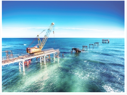 微信截图_20221110110633