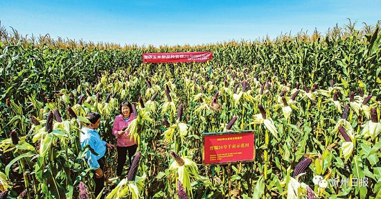 微信截图_20221121144725