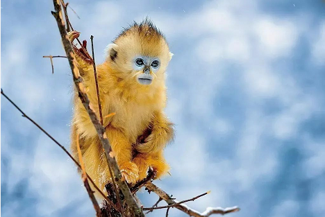 微信截图_20221124145159