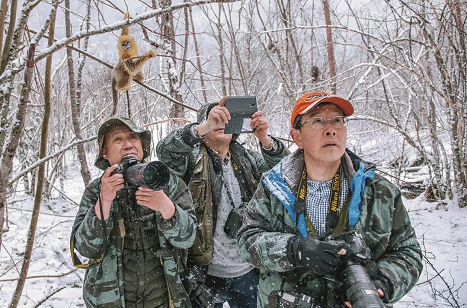 微信截图_20221124145205