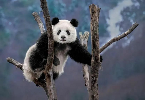 微信截图_20221124145211