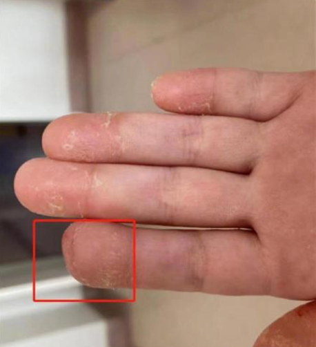 微信截图_20221124172045