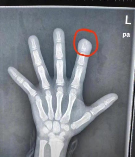 微信截图_20221124172052