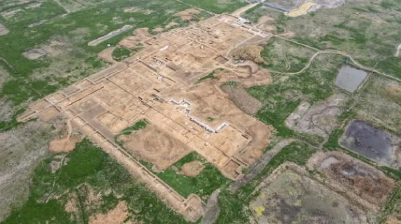 微信截图_20221124175206