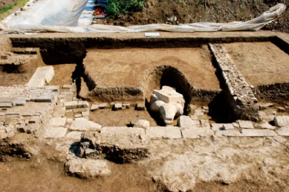 微信截图_20221124175226