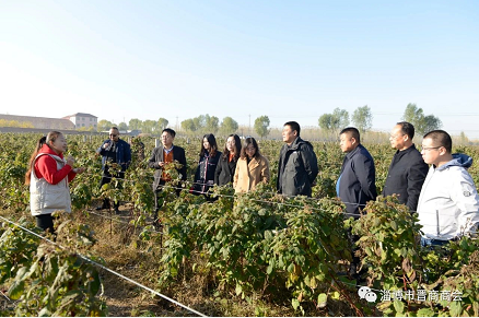 微信截图_20221124180100