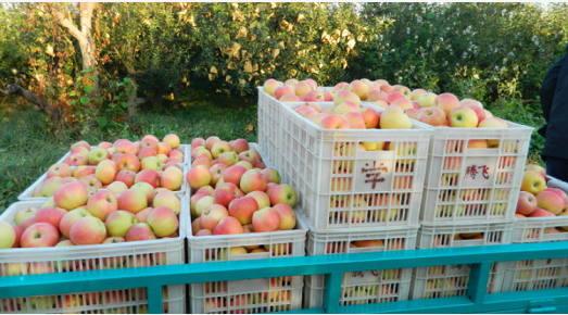 微信截图_20221125104918