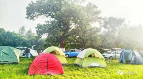 微信截图_20221129105830