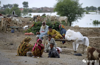 微信截图_20221201135719