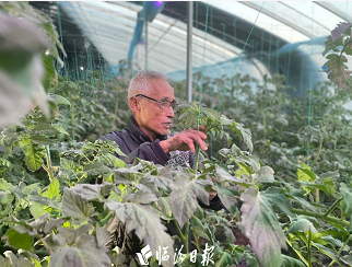 微信截图_20221207193445