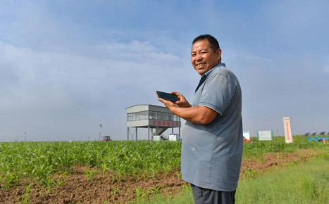 微信截图_20221208141722