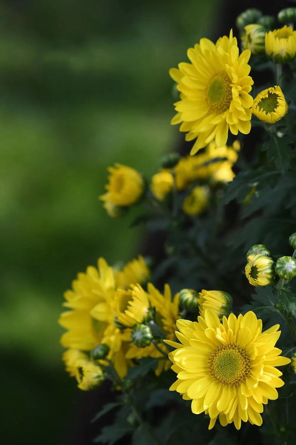 世界那么大，总会有人偷偷爱着你 | 晋商牛扎根分享美文
