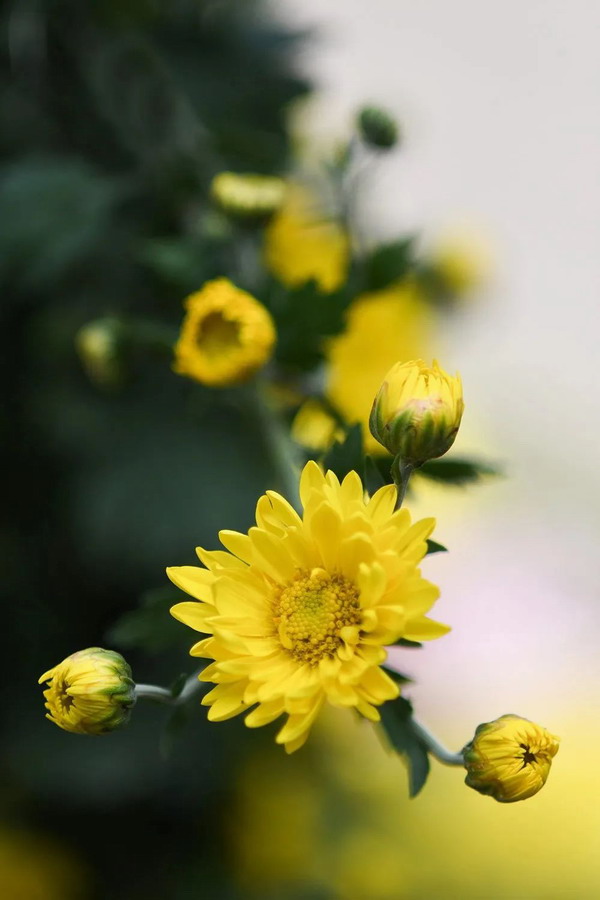 世界那么大，总会有人偷偷爱着你 | 晋商牛扎根分享美文