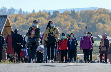 微信截图_20221213145409