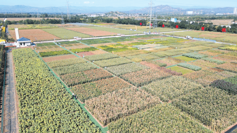 微信图片_20221228165805