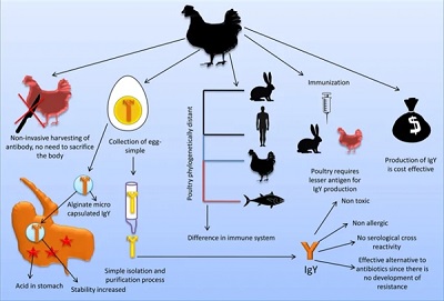 微信图片_20221228170614