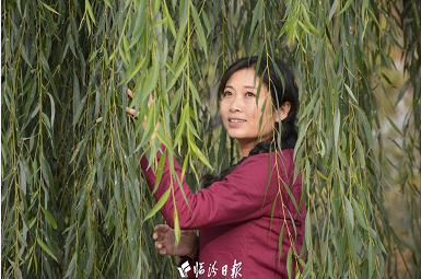 微信截图_20221230151948