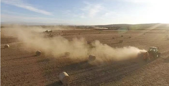 微信截图_20221230155340