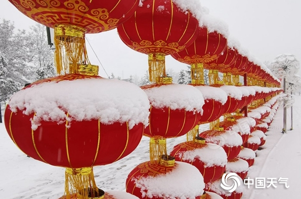 微信截图_20230209154211