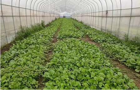 微信截图_20230214091309