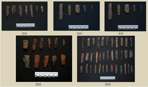 微信截图_20230216171959