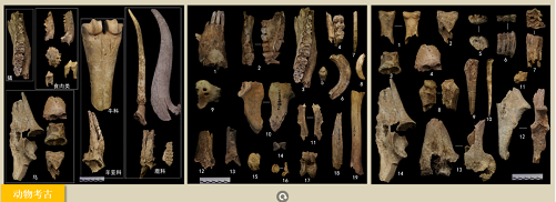 微信截图_20230216172040