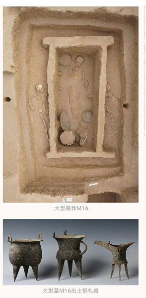 微信截图_20230217172150