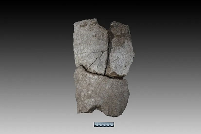 微信截图_20230217175102