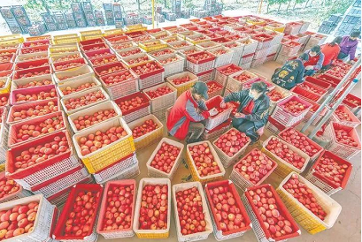 微信截图_20230220153233