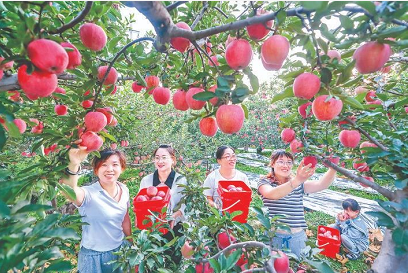 微信截图_20230220153241