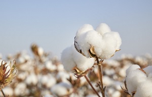 微信图片_20230227143442