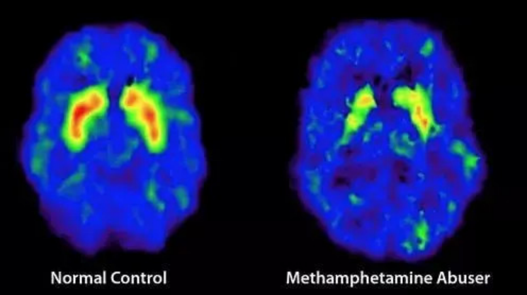 微信图片_20230302152031