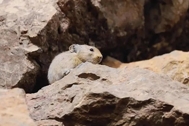 微信截图_20230303155841