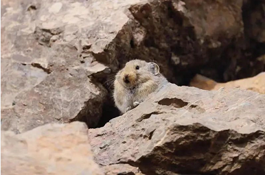 微信截图_20230303155849