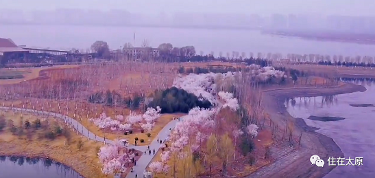 微信截图_20230308141103