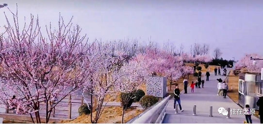 微信截图_20230308141111