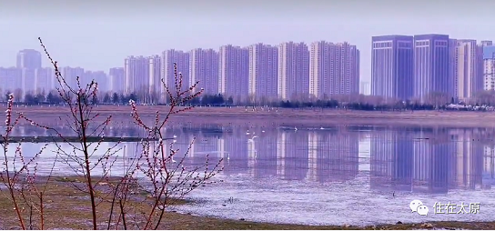 微信截图_20230308141118