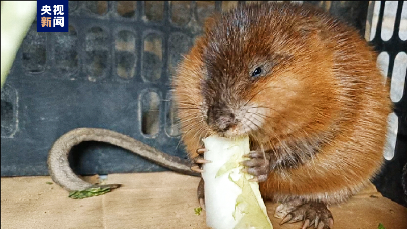 微信图片_20230308144437