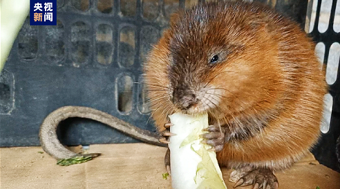 微信截图_20230308144438