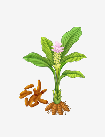 微信截图_20230309142523